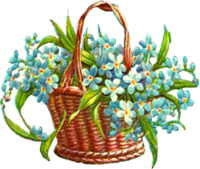 a basket of forget me not flowers